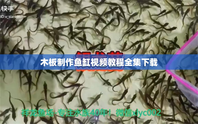 木板制作魚(yú)缸視頻教程全集下載