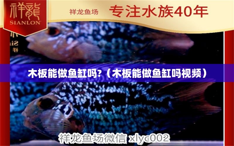 木板能做魚缸嗎?（木板能做魚缸嗎視頻） 祥龍水族醫(yī)院