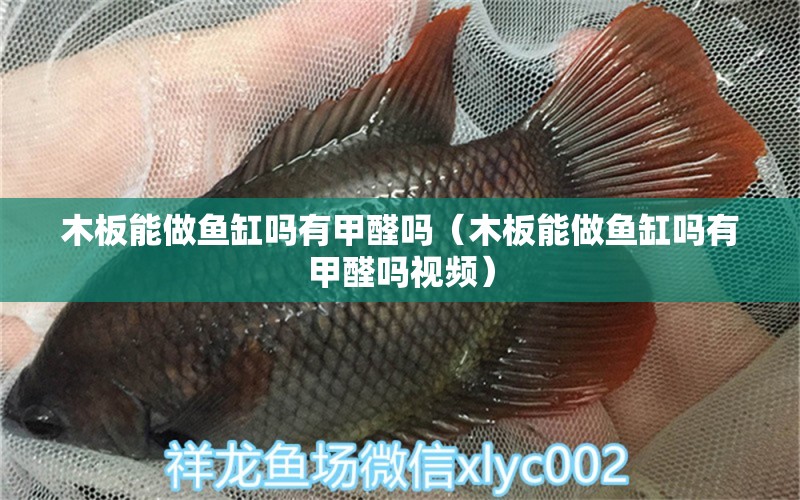 木板能做魚缸嗎有甲醛嗎（木板能做魚缸嗎有甲醛嗎視頻） 其他品牌魚缸