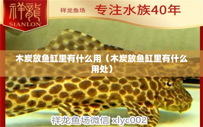 木炭放魚缸里有什么用（木炭放魚缸里有什么用處） 其他品牌魚缸