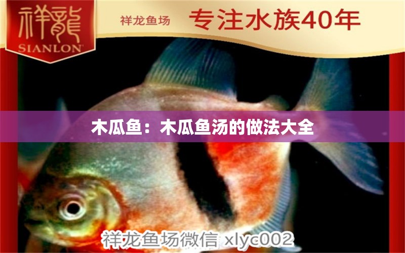 木瓜魚：木瓜魚湯的做法大全 二氧化碳設(shè)備