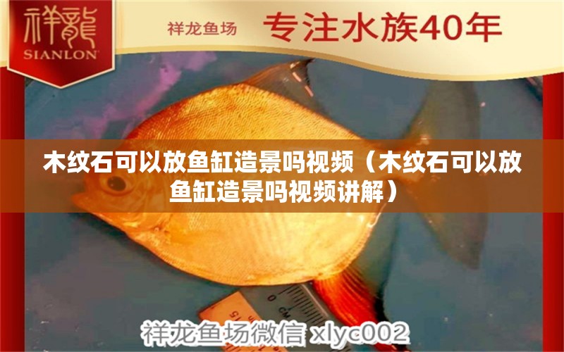 木紋石可以放魚(yú)缸造景嗎視頻（木紋石可以放魚(yú)缸造景嗎視頻講解） 其他品牌魚(yú)缸