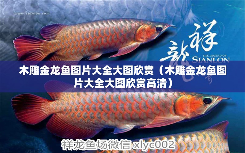 木雕金龍魚(yú)圖片大全大圖欣賞（木雕金龍魚(yú)圖片大全大圖欣賞高清） 廣州龍魚(yú)批發(fā)市場(chǎng)