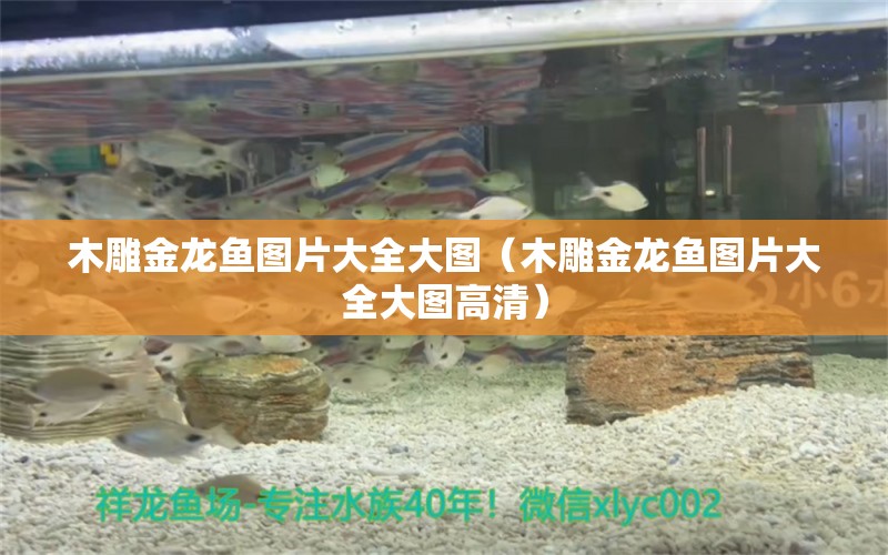 木雕金龍魚圖片大全大圖（木雕金龍魚圖片大全大圖高清）