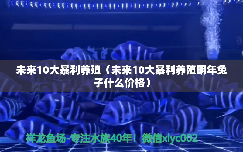 未來10大暴利養(yǎng)殖（未來10大暴利養(yǎng)殖明年兔子什么價(jià)格）