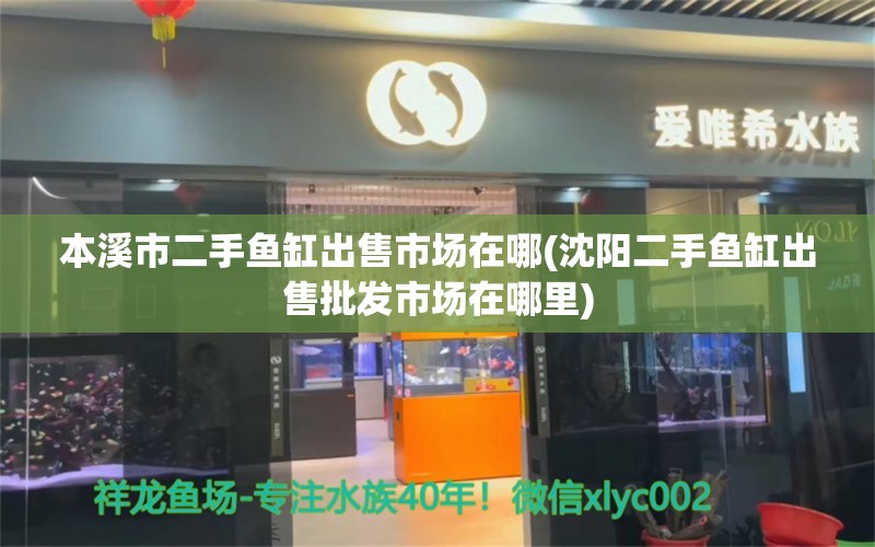 本溪市二手魚缸出售市場在哪(沈陽二手魚缸出售批發(fā)市場在哪里)