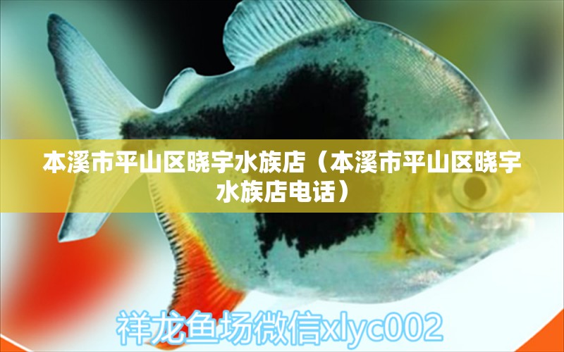 本溪市平山區(qū)曉宇水族店（本溪市平山區(qū)曉宇水族店電話）