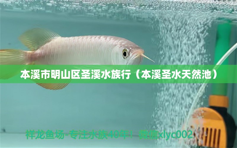 本溪市明山區(qū)圣溪水族行（本溪圣水天然池）