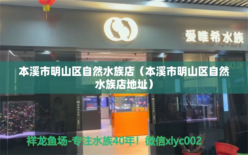 本溪市明山區(qū)自然水族店（本溪市明山區(qū)自然水族店地址）