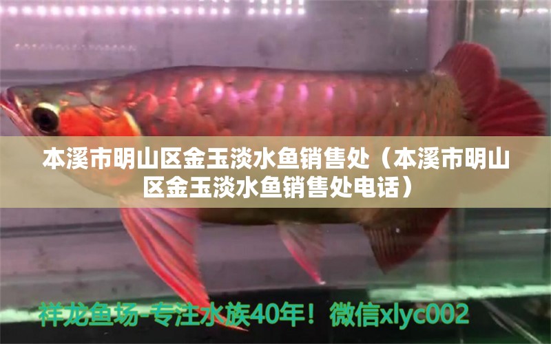 本溪市明山區(qū)金玉淡水魚銷售處（本溪市明山區(qū)金玉淡水魚銷售處電話）