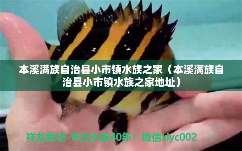 本溪滿族自治縣小市鎮(zhèn)水族之家（本溪滿族自治縣小市鎮(zhèn)水族之家地址） 全國(guó)水族館企業(yè)名錄