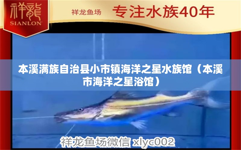 本溪滿族自治縣小市鎮(zhèn)海洋之星水族館（本溪市海洋之星浴館） 全國水族館企業(yè)名錄