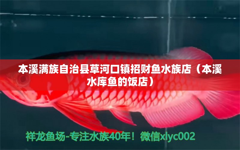 本溪滿族自治縣草河口鎮(zhèn)招財(cái)魚水族店（本溪水庫魚的飯店）