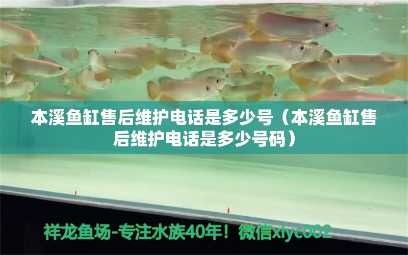 本溪魚缸售后維護(hù)電話是多少號(hào)（本溪魚缸售后維護(hù)電話是多少號(hào)碼）