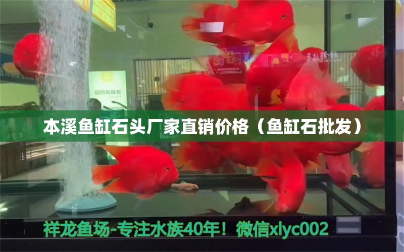 本溪魚缸石頭廠家直銷價格（魚缸石批發(fā)）