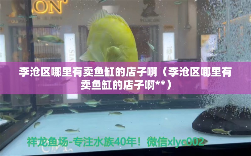 李滄區(qū)哪里有賣魚缸的店子?。ɡ顪鎱^(qū)哪里有賣魚缸的店子啊**） 祥龍水族醫(yī)院