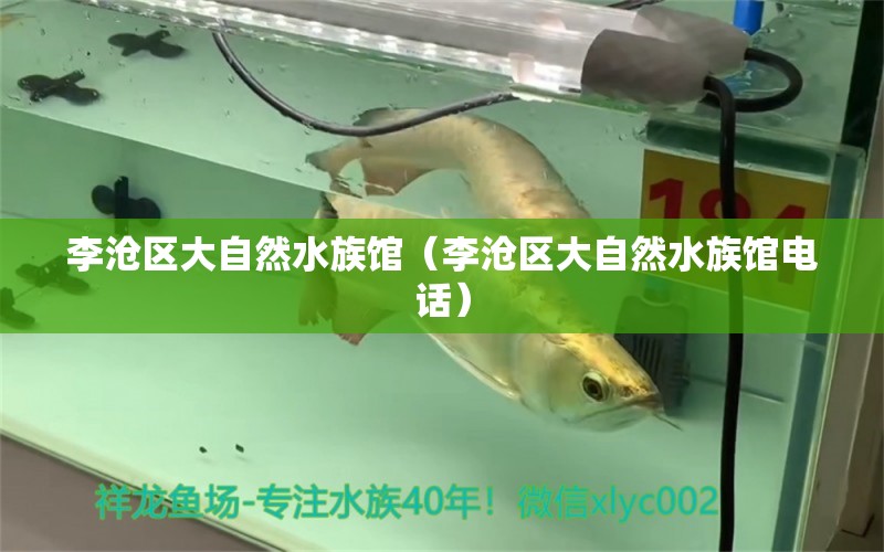 李滄區(qū)大自然水族館（李滄區(qū)大自然水族館電話） 全國(guó)水族館企業(yè)名錄