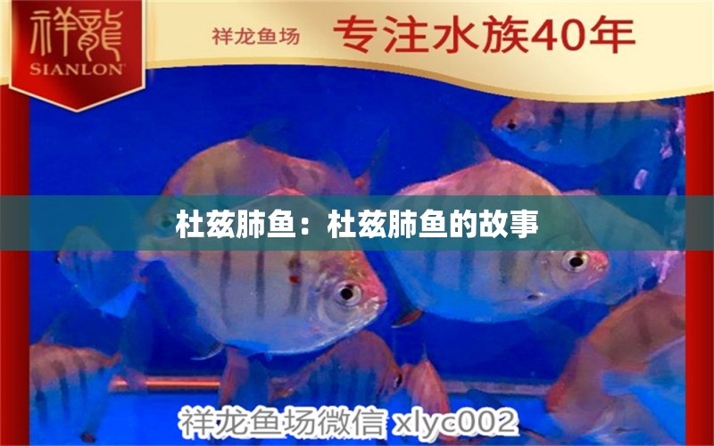 杜茲肺魚：杜茲肺魚的故事 肺魚