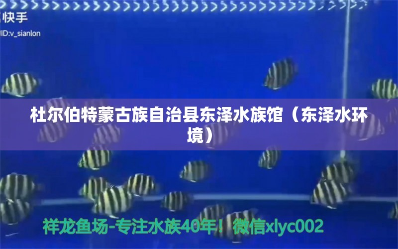 杜爾伯特蒙古族自治縣東澤水族館（東澤水環(huán)境）