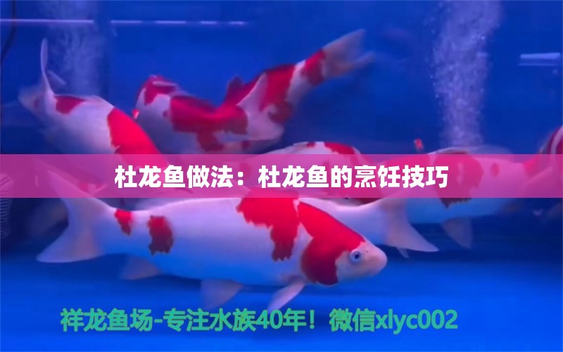 杜龍魚做法：杜龍魚的烹飪技巧 水族問答 第1張