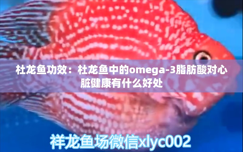 杜龍魚功效：杜龍魚中的omega-3脂肪酸對心臟健康有什么好處 水族問答 第1張