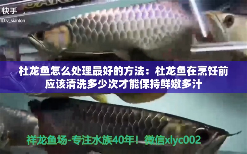 杜龍魚怎么處理最好的方法：杜龍魚在烹飪前應該清洗多少次才能保持鮮嫩多汁 水族問答 第1張