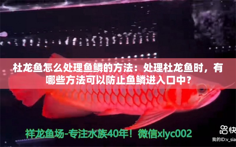 杜龍魚怎么處理魚鱗的方法：處理杜龍魚時，有哪些方法可以防止魚鱗進(jìn)入口中？ 水族問答 第2張