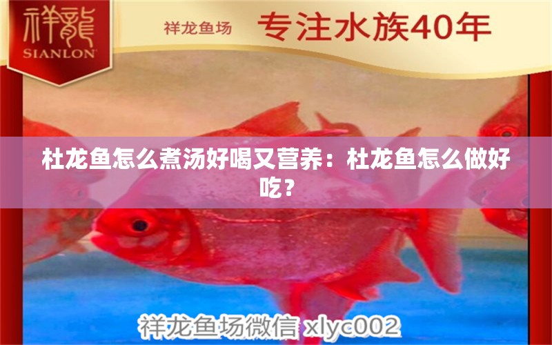 杜龍魚怎么煮湯好喝又營養(yǎng)：杜龍魚怎么做好吃？ 水族問答 第2張