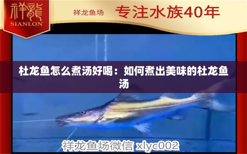 杜龍魚怎么煮湯好喝：如何煮出美味的杜龍魚湯 水族問答 第2張