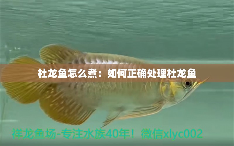 杜龍魚怎么煮：如何正確處理杜龍魚 水族問答 第1張