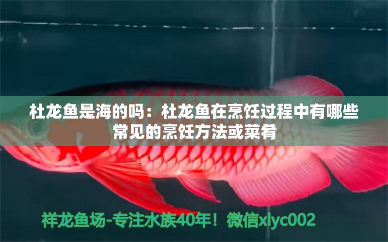 杜龍魚是海的嗎：杜龍魚在烹飪過程中有哪些常見的烹飪方法或菜肴 水族問答 第2張