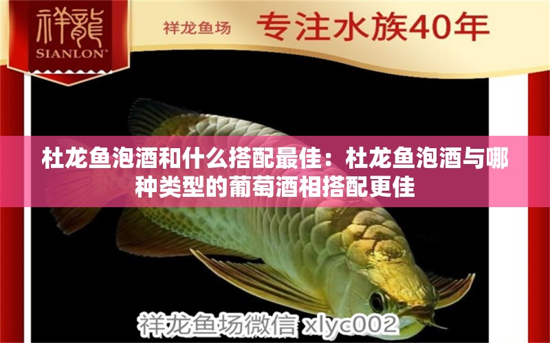 杜龍魚泡酒和什么搭配最佳：杜龍魚泡酒與哪種類型的葡萄酒相搭配更佳 水族問答 第2張