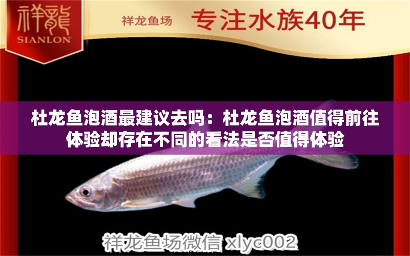 杜龍魚泡酒最建議去嗎：杜龍魚泡酒值得前往體驗(yàn)卻存在不同的看法是否值得體驗(yàn) 水族問答 第1張