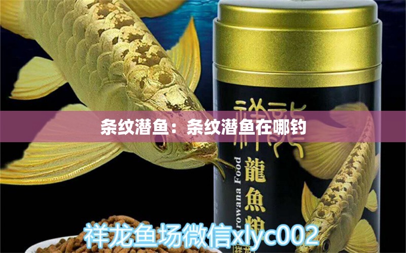 條紋潛魚：條紋潛魚在哪釣