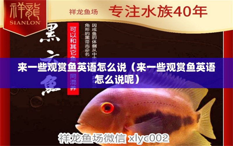 來一些觀賞魚英語怎么說（來一些觀賞魚英語怎么說呢）