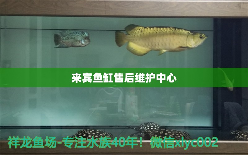 來賓魚缸售后維護(hù)中心 其他品牌魚缸