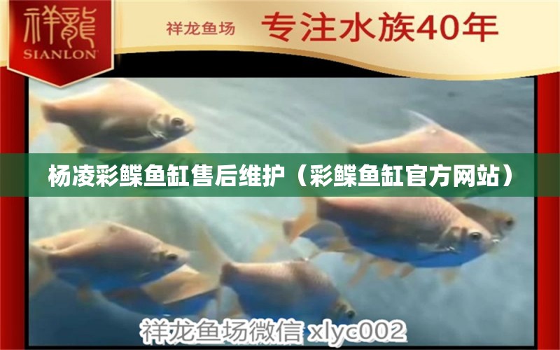 楊凌彩鰈魚缸售后維護（彩鰈魚缸官方網站） 彩鰈魚缸（彩蝶魚缸）