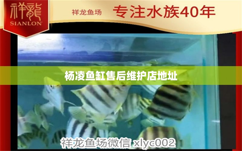 楊凌魚缸售后維護店地址 其他品牌魚缸