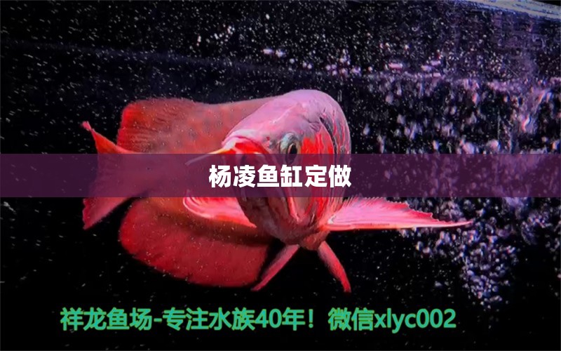 楊凌魚缸定做