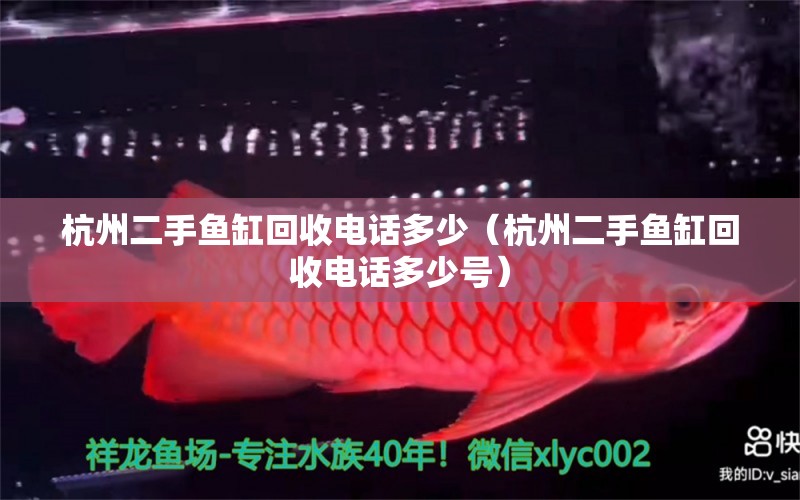 杭州二手魚缸回收電話多少（杭州二手魚缸回收電話多少號(hào)） 大白鯊魚苗