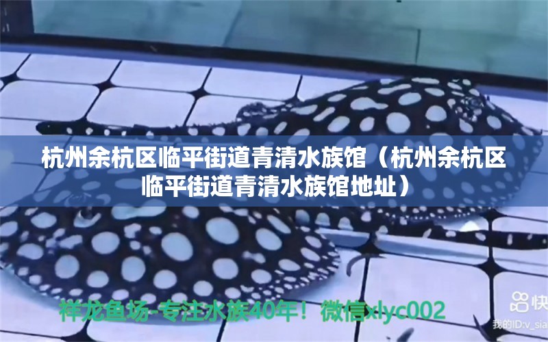 杭州余杭區(qū)臨平街道青清水族館（杭州余杭區(qū)臨平街道青清水族館地址）