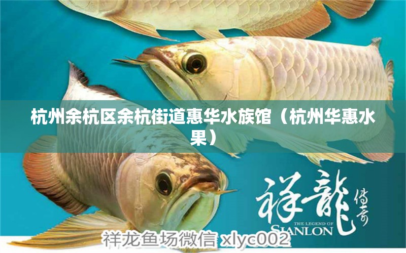 杭州余杭區(qū)余杭街道惠華水族館（杭州華惠水果）