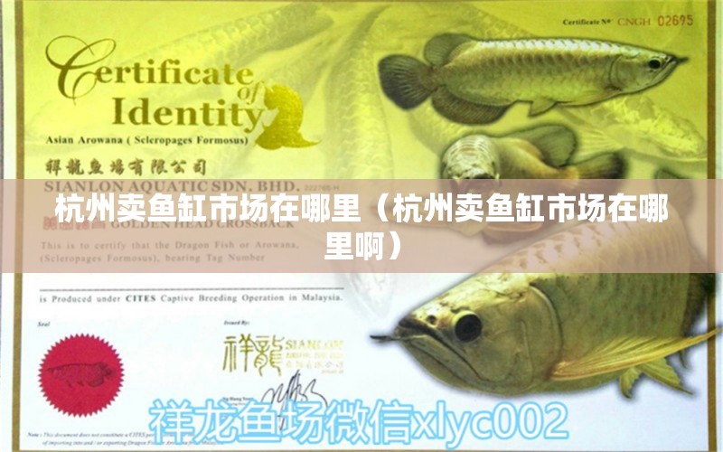 杭州賣魚缸市場在哪里（杭州賣魚缸市場在哪里?。? title=