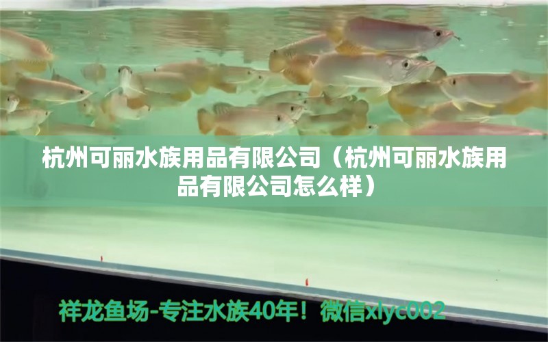 杭州可麗水族用品有限公司（杭州可麗水族用品有限公司怎么樣） 水族用品