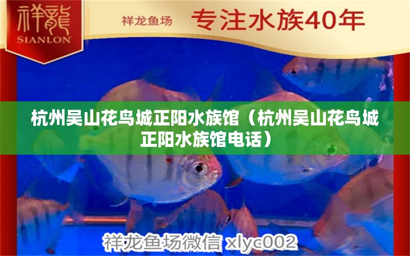 杭州吳山花鳥城正陽水族館（杭州吳山花鳥城正陽水族館電話）