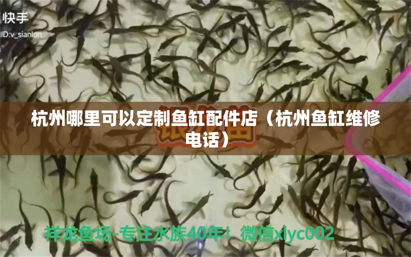 杭州哪里可以定制魚缸配件店（杭州魚缸維修電話）