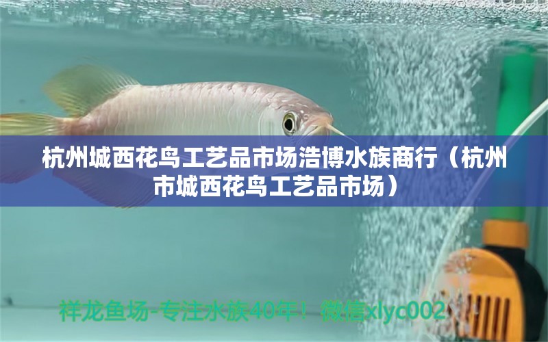 杭州城西花鳥工藝品市場(chǎng)浩博水族商行（杭州市城西花鳥工藝品市場(chǎng)） 全國(guó)水族館企業(yè)名錄