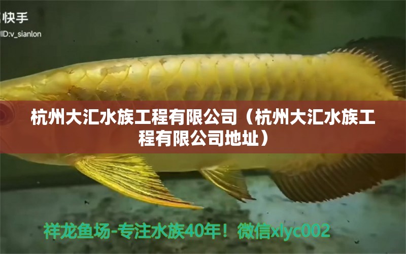 杭州大匯水族工程有限公司（杭州大匯水族工程有限公司地址）