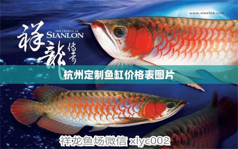 杭州定制魚(yú)缸價(jià)格表圖片 祥龍魚(yú)場(chǎng)