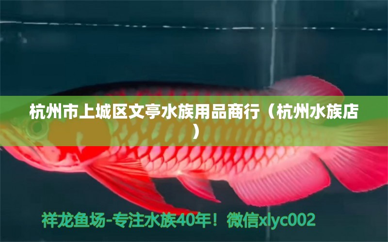 杭州市上城區(qū)文亭水族用品商行（杭州水族店） 水族用品